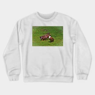 Must Be Love Crewneck Sweatshirt